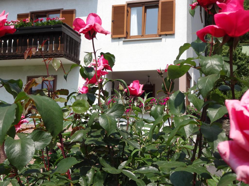 Schuetzenhof Aparthotel Sattendorf Exteriör bild